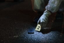 verified numbers browse evidence for listed lines