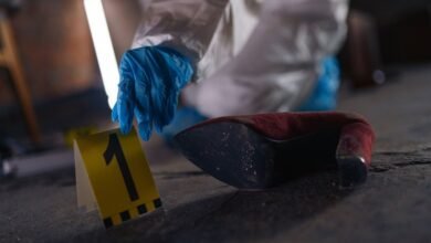 verified registry evidence numbers 3510727358 3701128978 3270639688 3533837149 3792578697