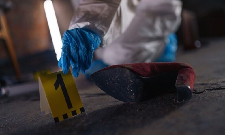 verified registry evidence numbers 3510727358 3701128978 3270639688 3533837149 3792578697