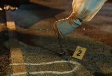 view numbers for multiple evidence searches