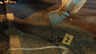 view numbers for multiple evidence searches