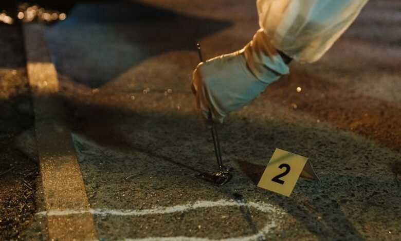 view numbers for multiple evidence searches